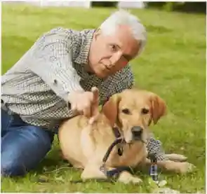 ultrak9 pro customer review