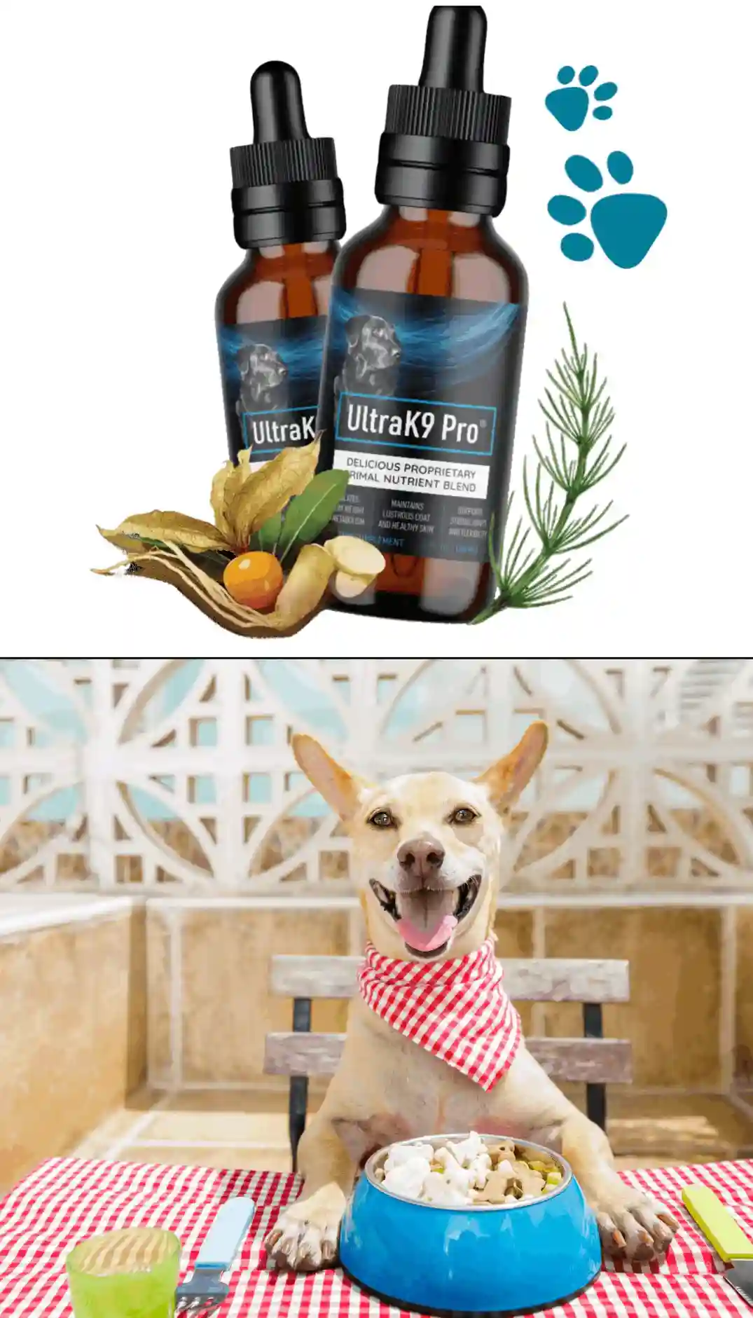 ultrak9 pro introduction